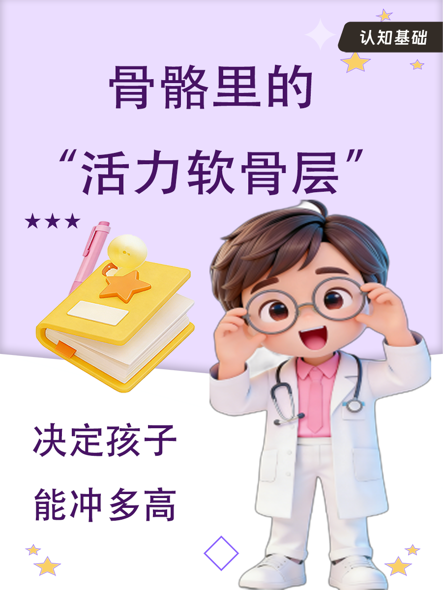 骨骼里的“活力软骨层”，决定孩子能冲多高